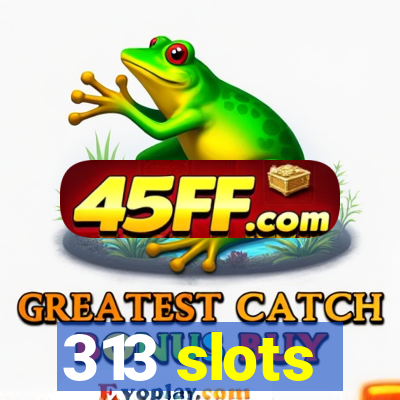 313 slots